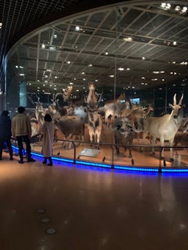 国立科学博物館に投稿された画像（2022/2/14）