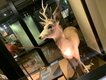 国立科学博物館に投稿された画像（2022/2/14）