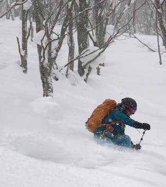 Epic Japanに投稿された画像（2022/2/14）