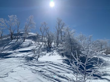 しらかば2in1スキー場に投稿された画像（2022/2/14）