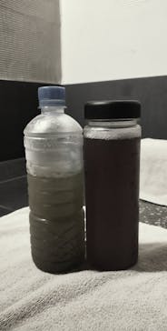 THE SPA 成城に投稿された画像（2022/2/14）