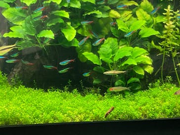 サンシャイン水族館に投稿された画像（2022/2/14）