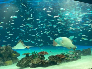 サンシャイン水族館に投稿された画像（2022/2/14）