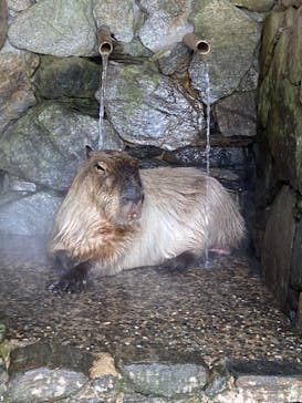 長崎バイオパークに投稿された画像（2022/2/14）