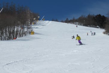 サンメドウズ清里に投稿された画像（2022/2/14）