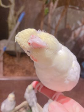 Moff animal world MARK IS みなとみらい店に投稿された画像（2022/2/14）