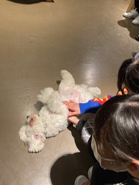 Moff animal world MARK IS みなとみらい店に投稿された画像（2022/2/14）