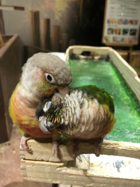 Moff animal world MARK IS みなとみらい店に投稿された画像（2022/2/14）