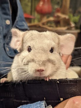 Moff animal world MARK IS みなとみらい店に投稿された画像（2022/2/14）