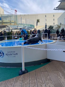 サンシャイン水族館に投稿された画像（2022/2/14）