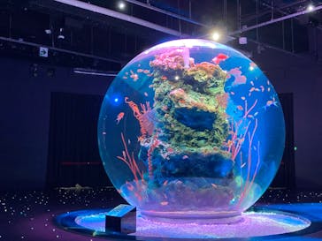 神戸みなと温泉 蓮に投稿された画像（2022/2/14）