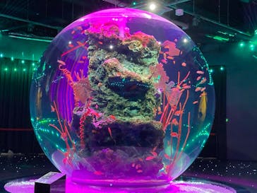 神戸みなと温泉 蓮に投稿された画像（2022/2/14）