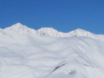 Hakuba47ウィンタースポーツパークに投稿された画像（2022/2/15）