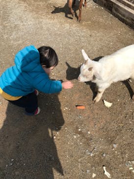 しろとり動物園に投稿された画像（2022/2/15）