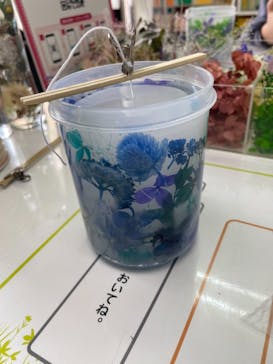 ずこうしつ〜sugamo〜に投稿された画像（2022/2/15）