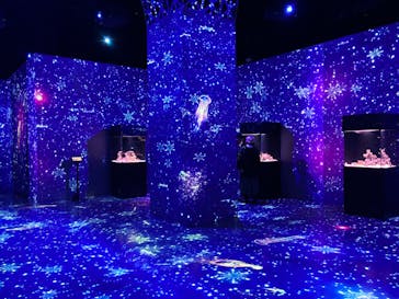 マクセル アクアパーク品川に投稿された画像（2022/2/15）