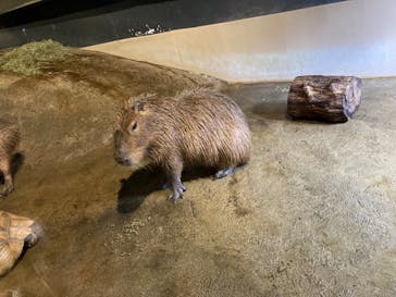 マクセル アクアパーク品川に投稿された画像（2022/2/15）