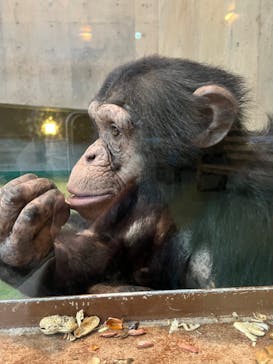 旭川市旭山動物園に投稿された画像（2022/2/15）