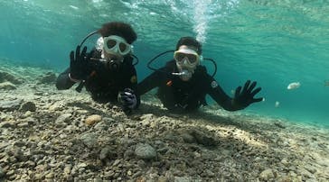 DIVING-SHOP SUNSに投稿された画像（2022/2/15）