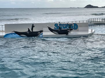 鴨川シーワールドに投稿された画像（2022/2/15）