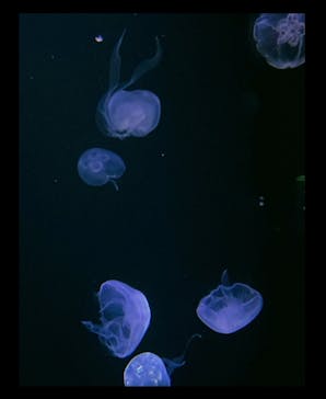 サンシャイン水族館に投稿された画像（2022/2/15）