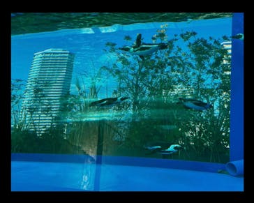 サンシャイン水族館に投稿された画像（2022/2/15）