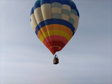 ウイニングバルーンクラブに投稿された画像（2022/2/15）