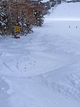 志賀高原中央エリアスキー場に投稿された画像（2022/2/15）
