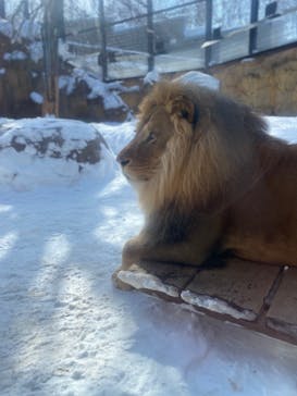 旭川市旭山動物園に投稿された画像（2022/2/15）