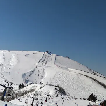 びわ湖バレイに投稿された画像（2022/2/15）