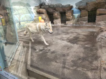 天王寺動物園に投稿された画像（2022/2/15）