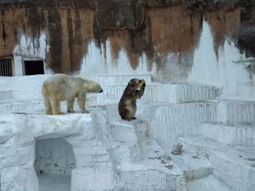 天王寺動物園に投稿された画像（2022/2/15）