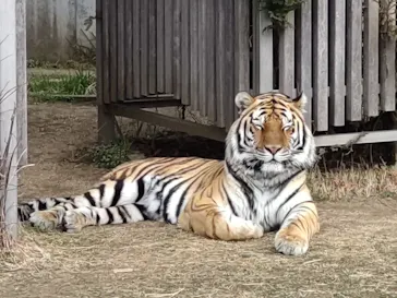 天王寺動物園に投稿された画像（2022/2/15）