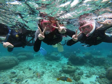 武藤潜水に投稿された画像（2022/2/16）