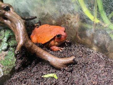 サンシャイン水族館に投稿された画像（2022/2/16）