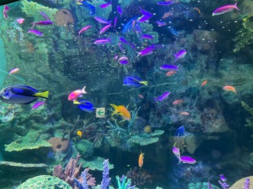 サンシャイン水族館に投稿された画像（2022/2/16）