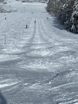 菅平高原スノーリゾートに投稿された画像（2022/2/16）