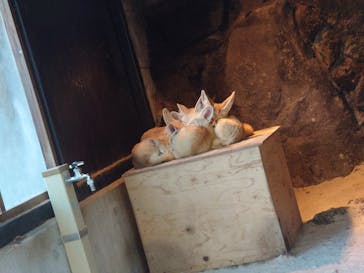 伊豆シャボテン動物公園に投稿された画像（2022/2/16）