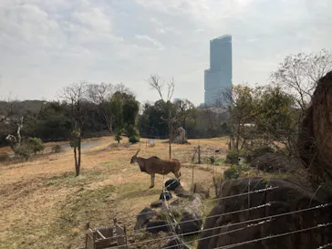 天王寺動物園に投稿された画像（2022/2/16）