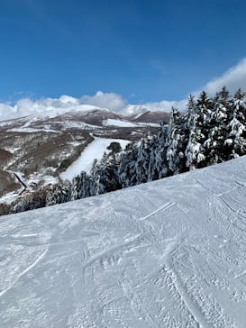 菅平高原スノーリゾートに投稿された画像（2022/2/16）