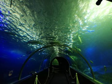 串本海中公園水族館に投稿された画像（2022/2/16）