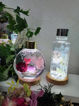 ずこうしつ〜sugamo〜に投稿された画像（2022/2/16）