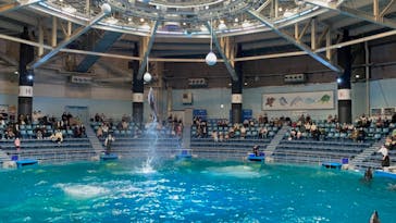 マクセル アクアパーク品川に投稿された画像（2022/2/16）