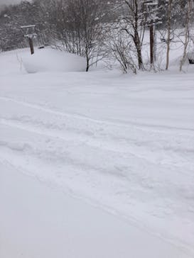 爺ガ岳スキー場に投稿された画像（2022/2/16）