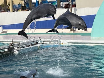 鴨川シーワールドに投稿された画像（2022/2/16）