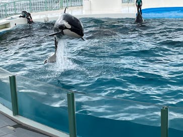 鴨川シーワールドに投稿された画像（2022/2/16）