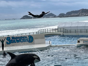 鴨川シーワールドに投稿された画像（2022/2/16）