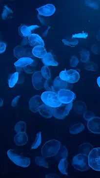 すみだ水族館に投稿された画像（2022/2/16）