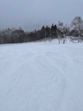 やぶはら高原スキー場に投稿された画像（2022/2/17）