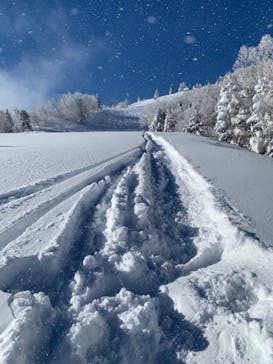 志賀高原マウンテンリゾートに投稿された画像（2022/2/17）